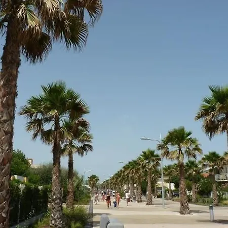 Avec Piscine, Directe, Terrasse Et Parking - Animaux Acceptés - Fr-1-387-53 Appartamento Marseillan (Herault)